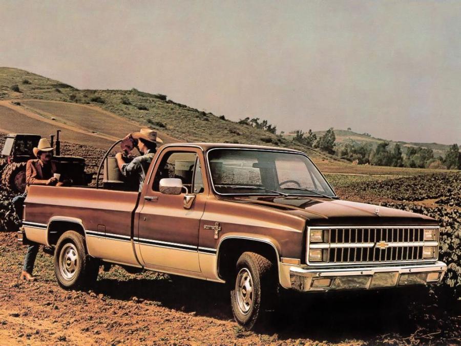  Chevrolet C20 Scottsdale 1982 года  (фото 1 из 1)